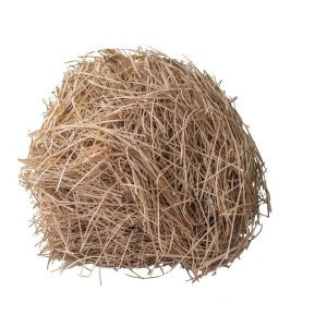 Makaron Papierowy - obrazek 3